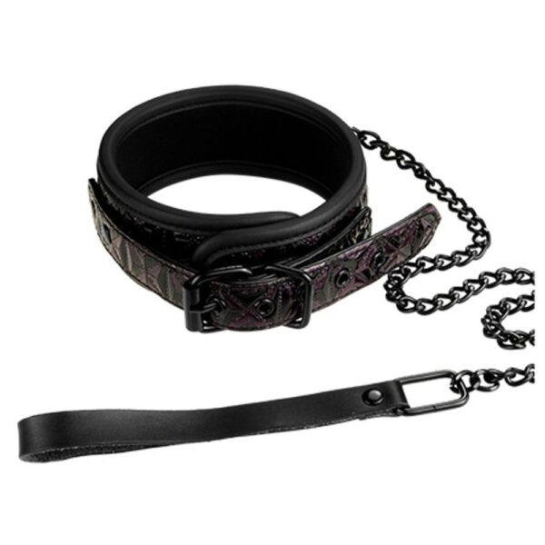 21271 BLAZE COLLAR AND LEASH PURPLE GUINZAGLIO CON COLLARE REGOLABILE